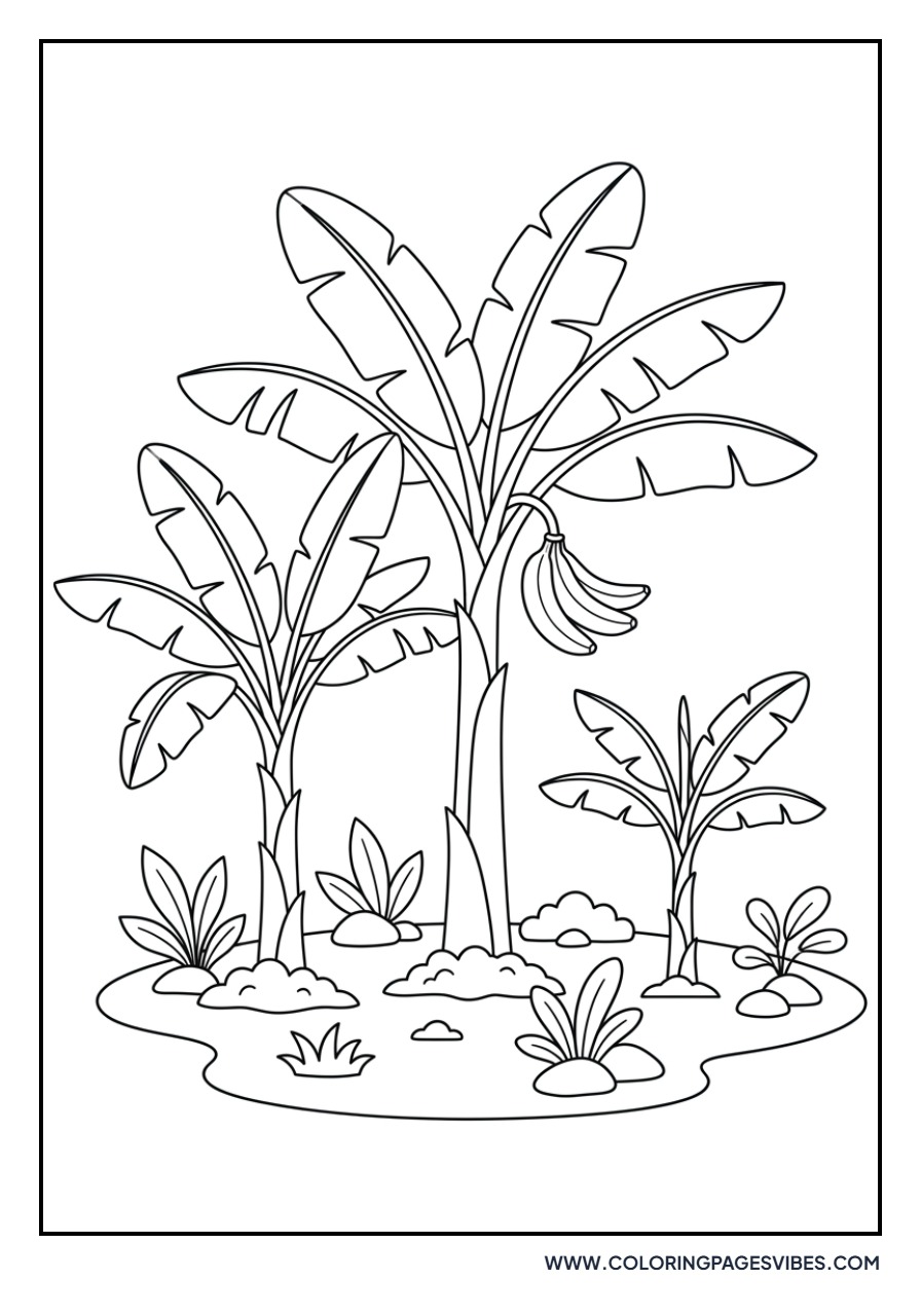 Banana Garden