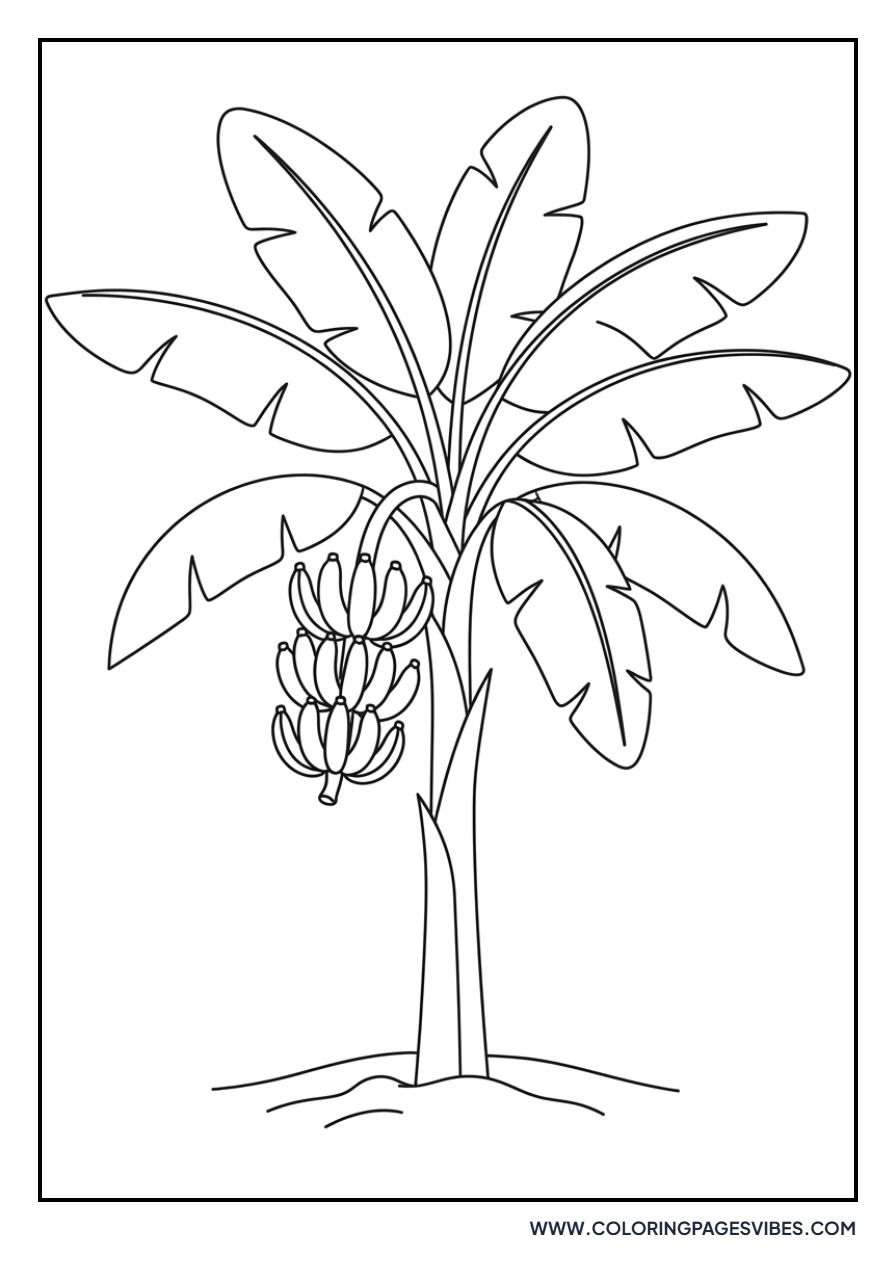 Banana Tree with Leaves