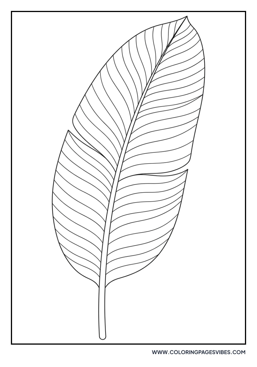 Large Banana Leaf