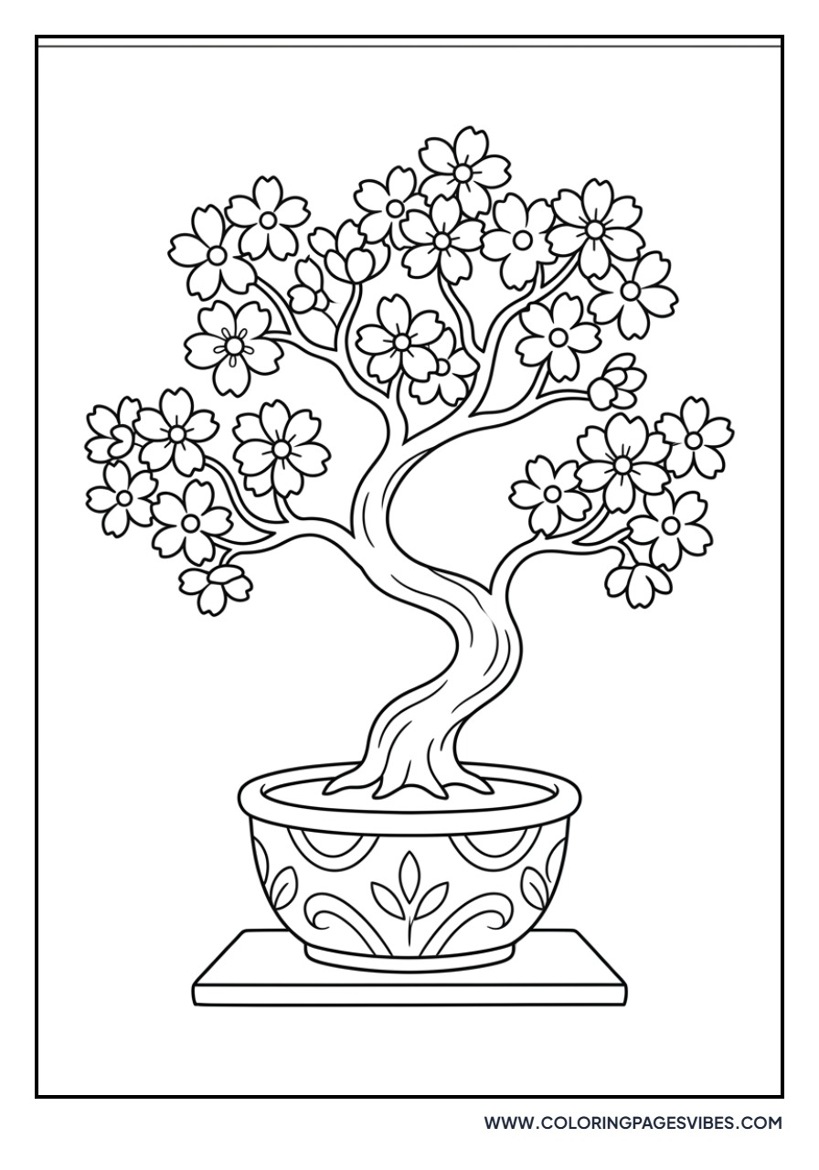Bonsai Cherry Blossom Tree