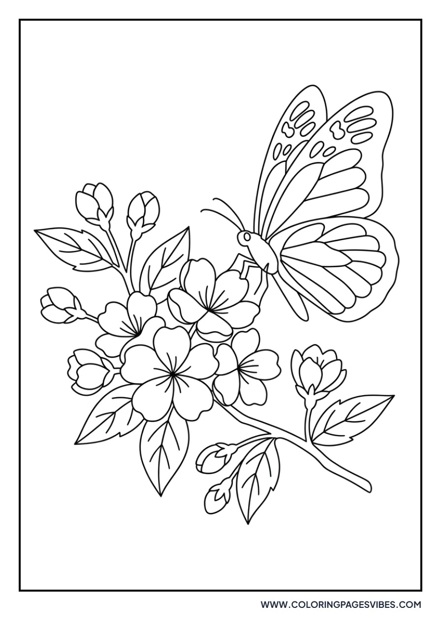 Butterfly and Sakura