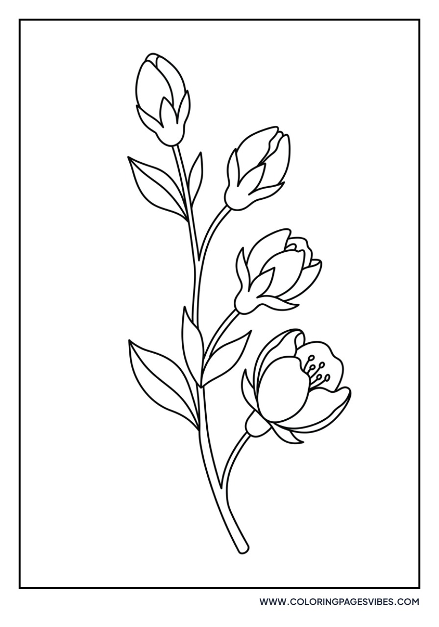 Detailed Sakura Buds