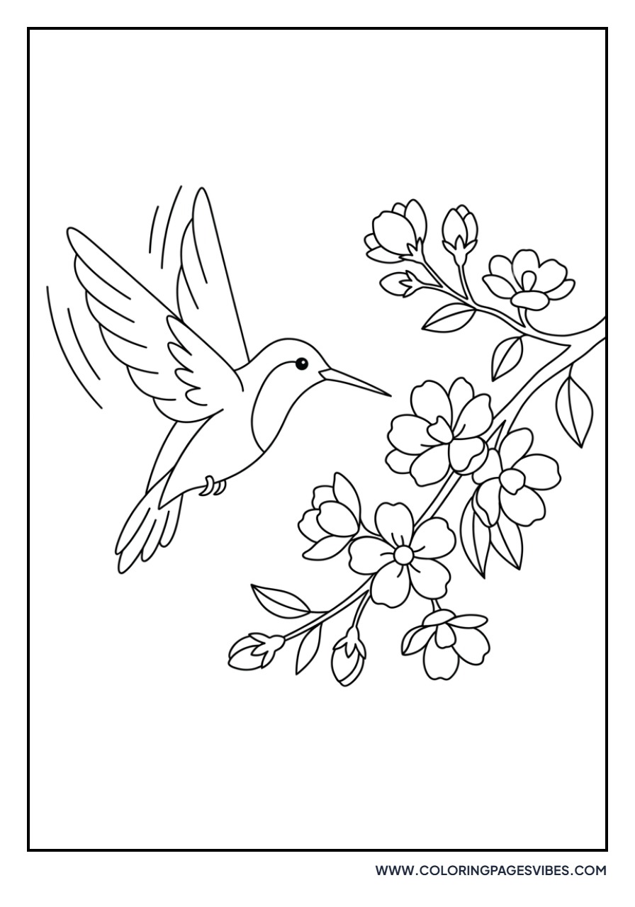 Hummingbird and Sakura