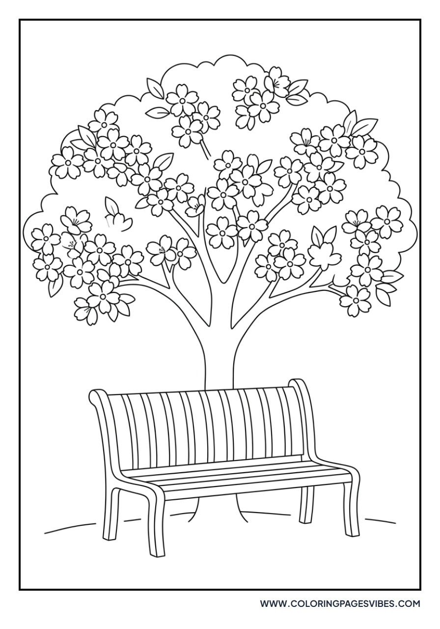 Park Bench and Sakura