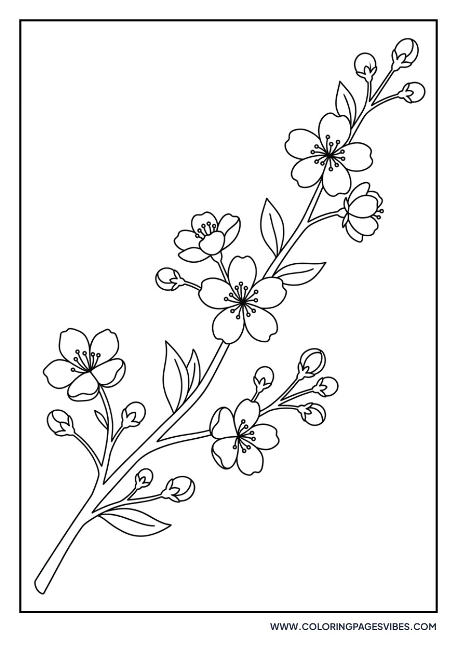 Sakura Branch with Buds