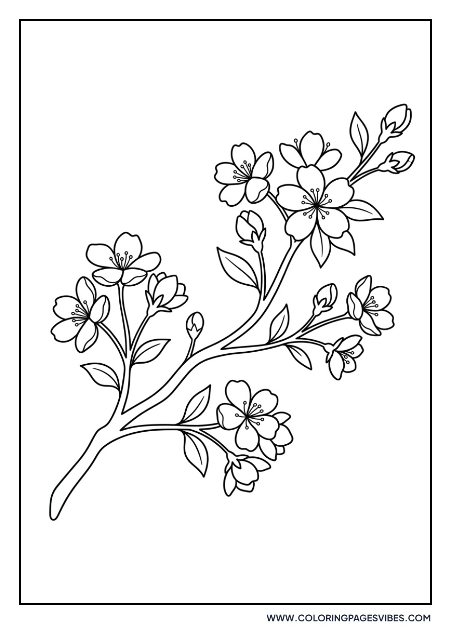 Simple Cherry Blossom Branch