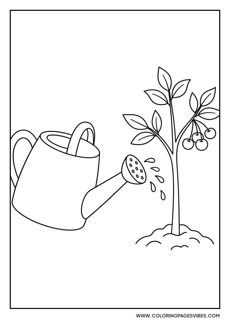 Cherries and a Watering Can