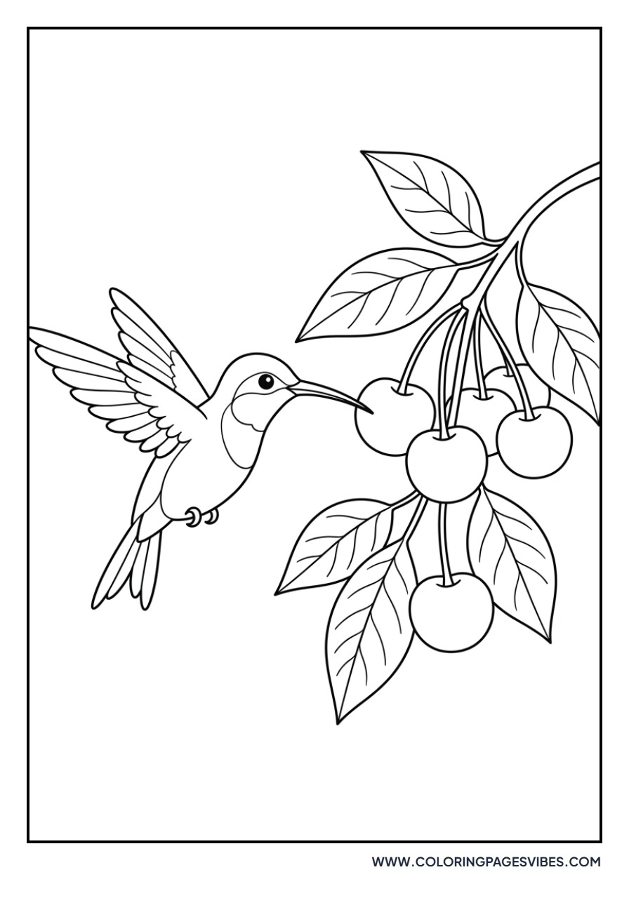 Cherries and Hummingbird