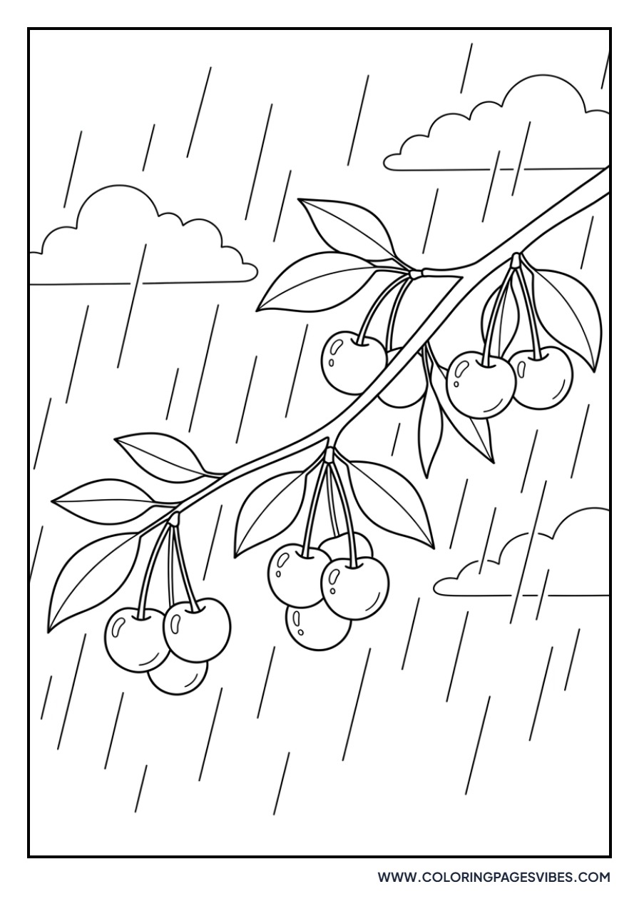 Cherries in the Rain