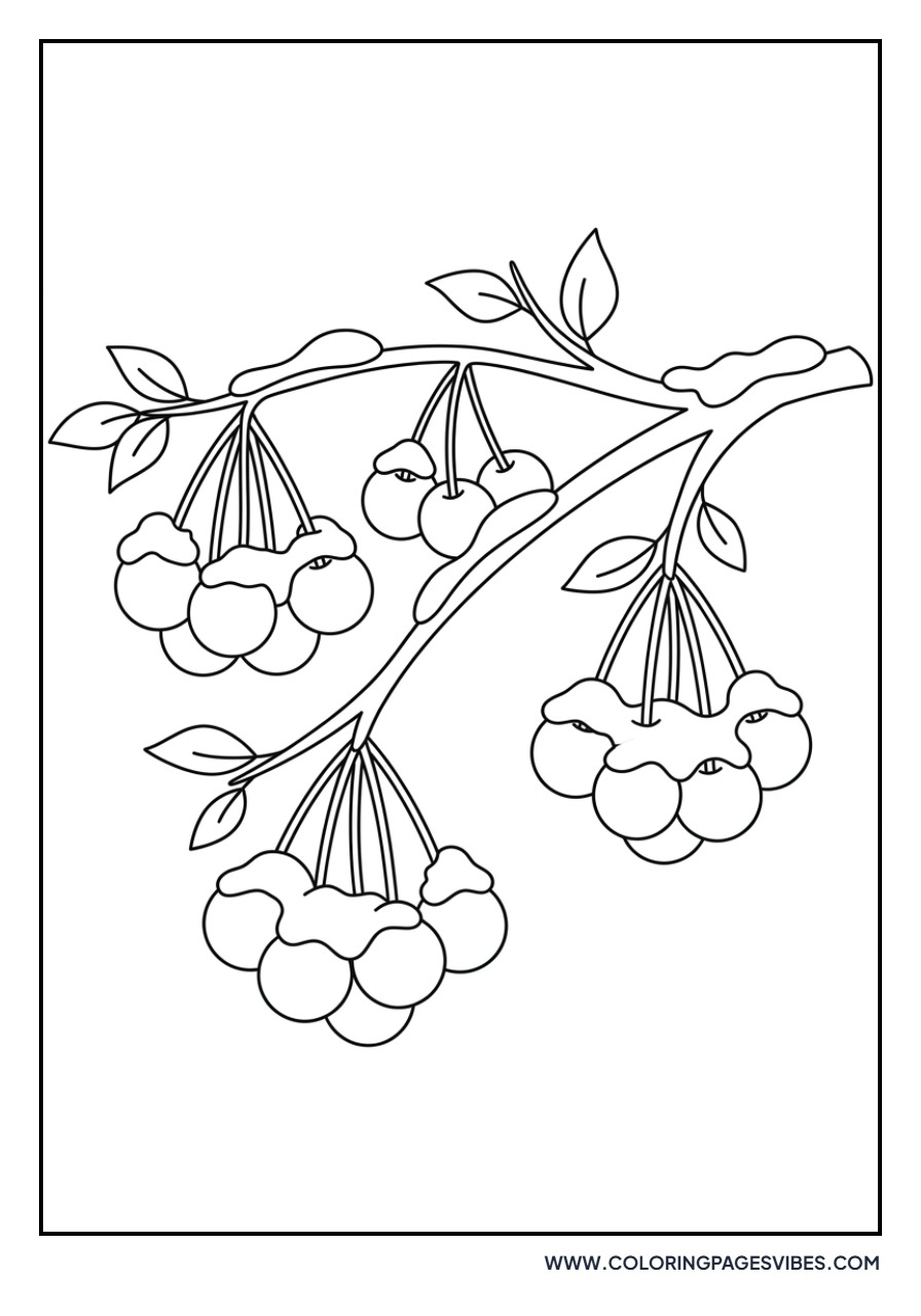 Cherries in the Snow