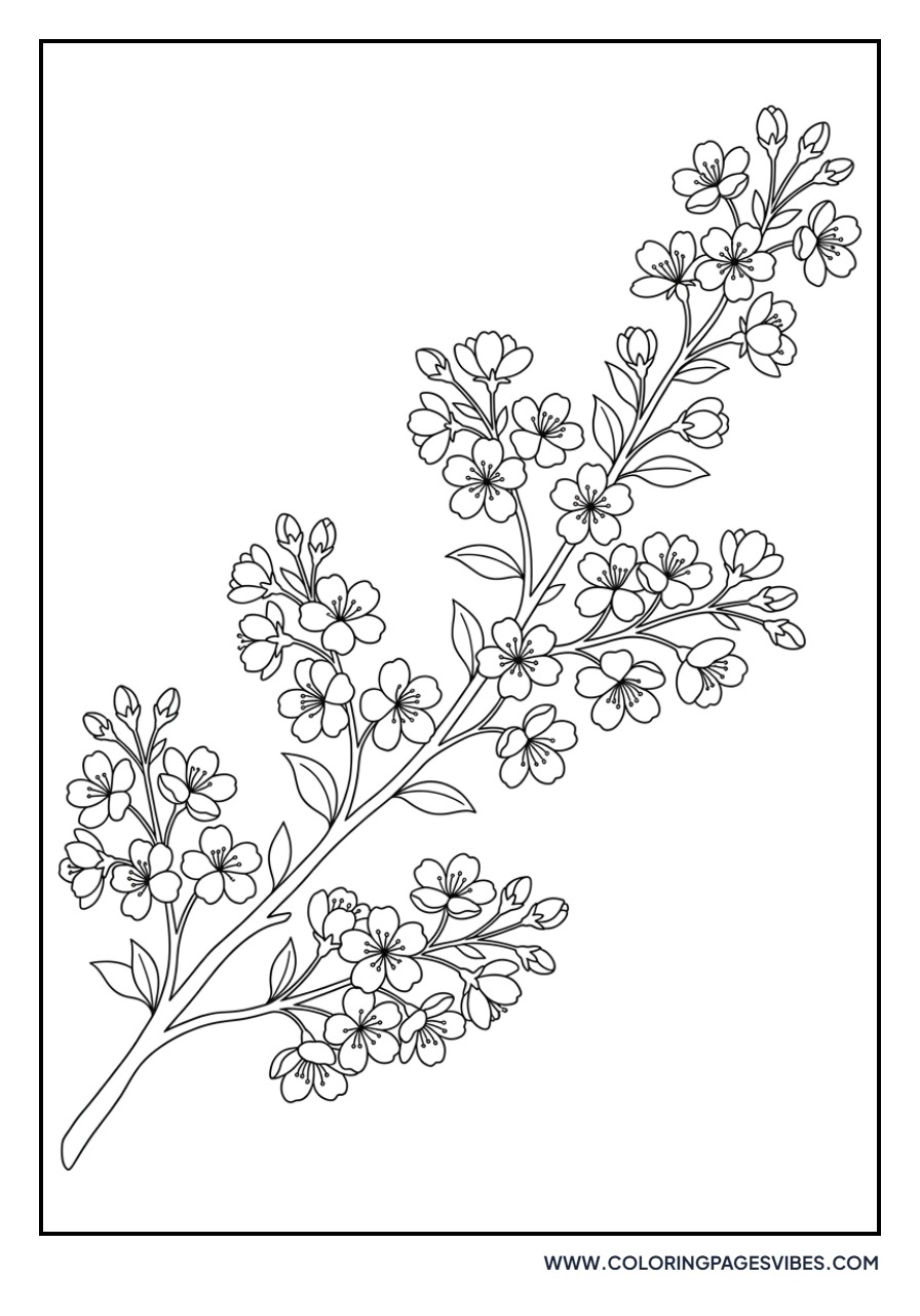 Cherry Blossom Branch