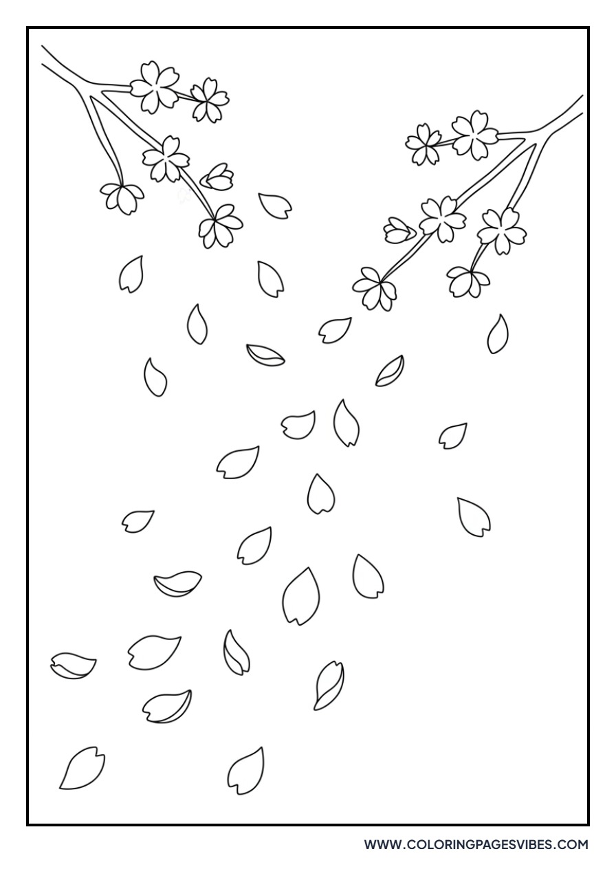 Cherry Blossom Rain