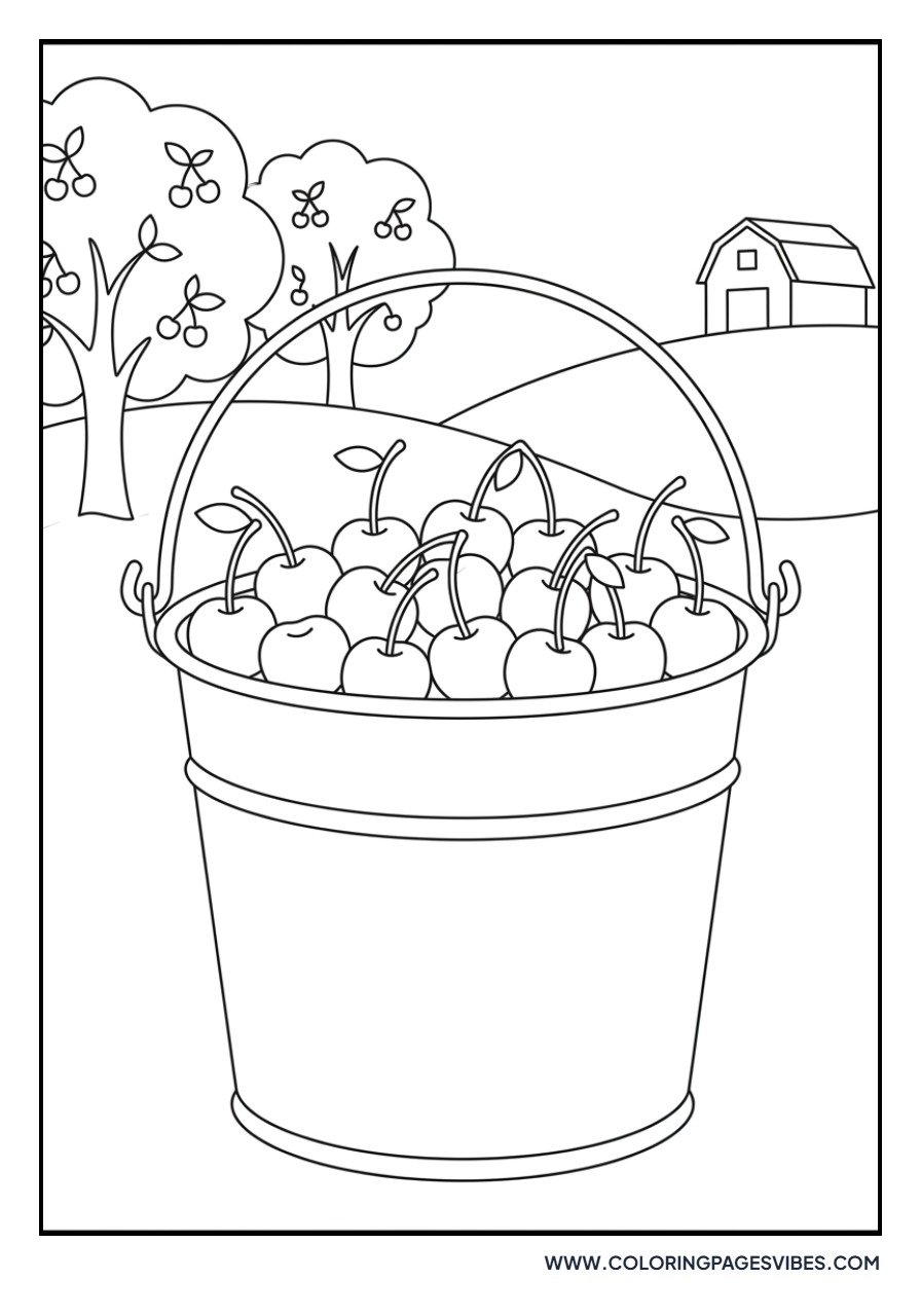 Cherry Harvest Bucket