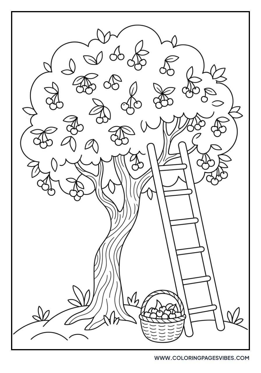 Cherry Picking Ladder
