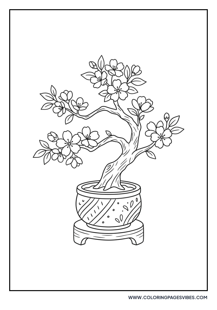Cherry Tree in a Pot