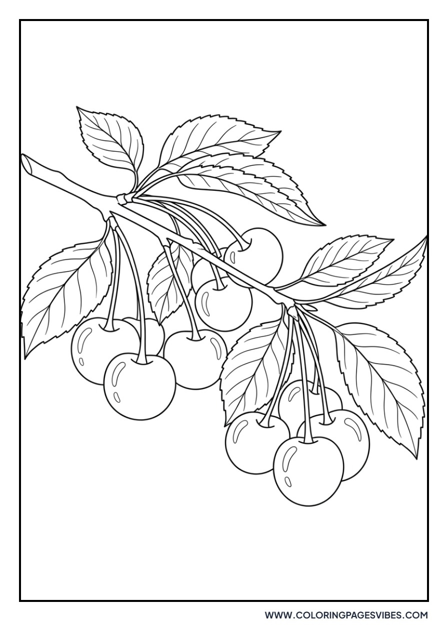 Realistic Cherry Branch