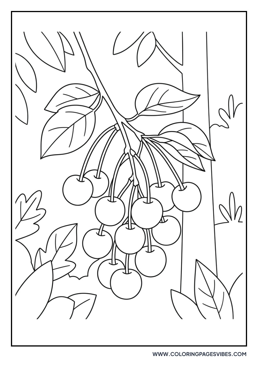 Wild Cherry Cluster