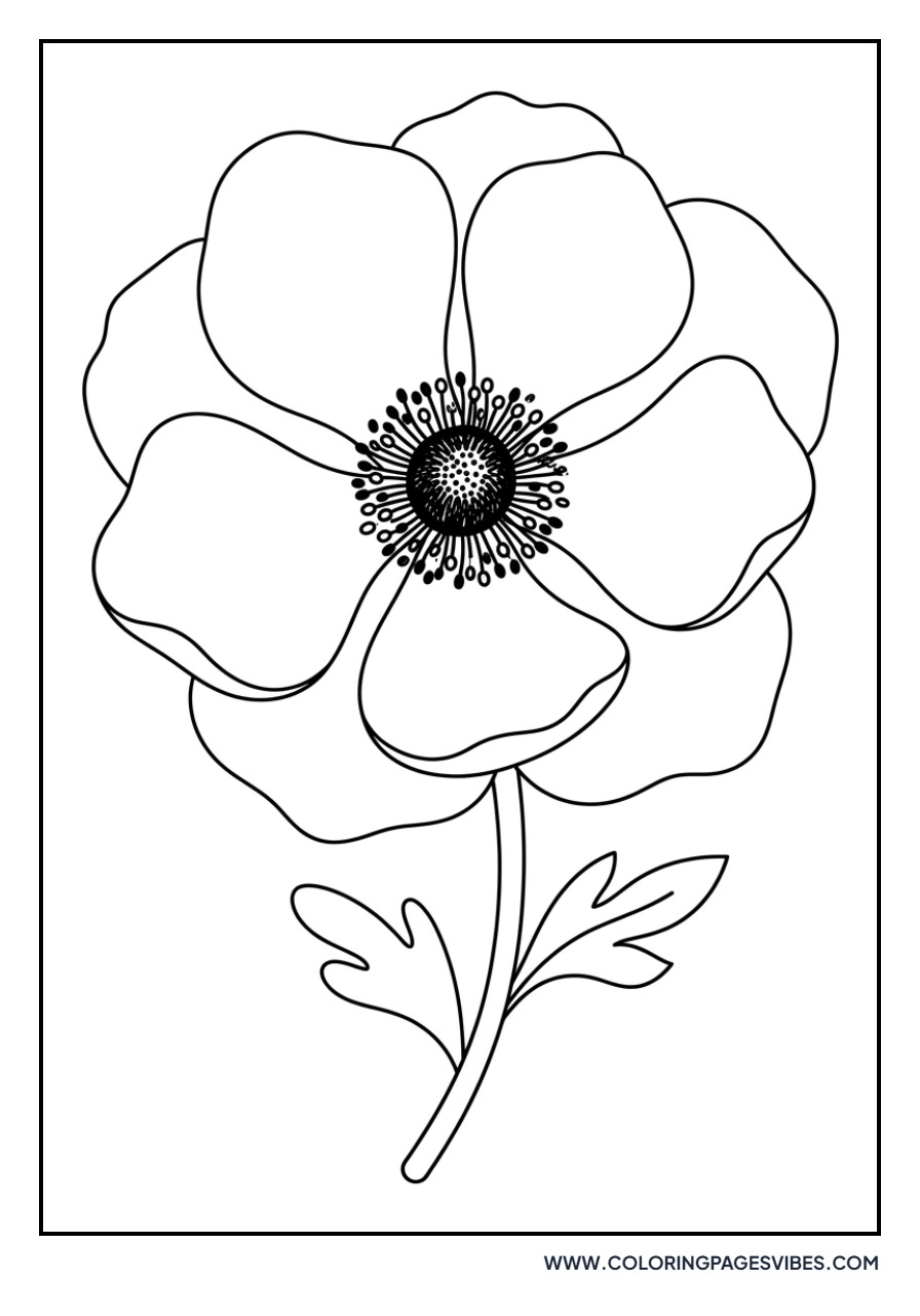 Anemone Wave
