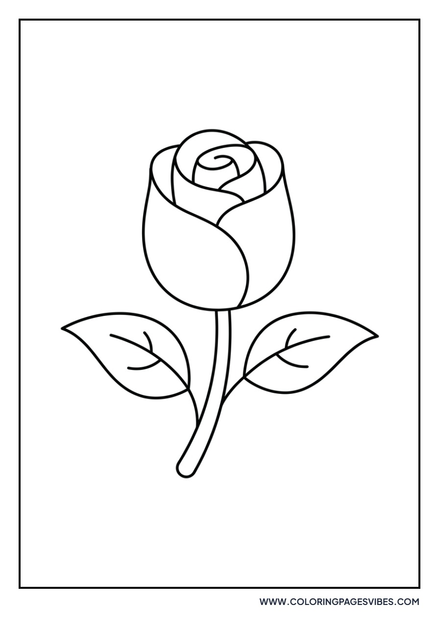 Baby Rose Bud