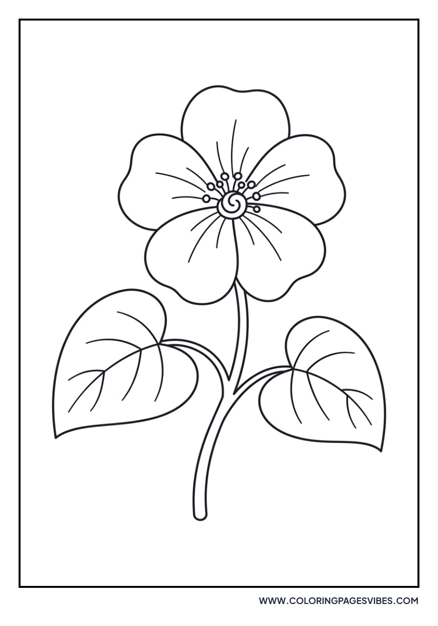 Begonia Bloom