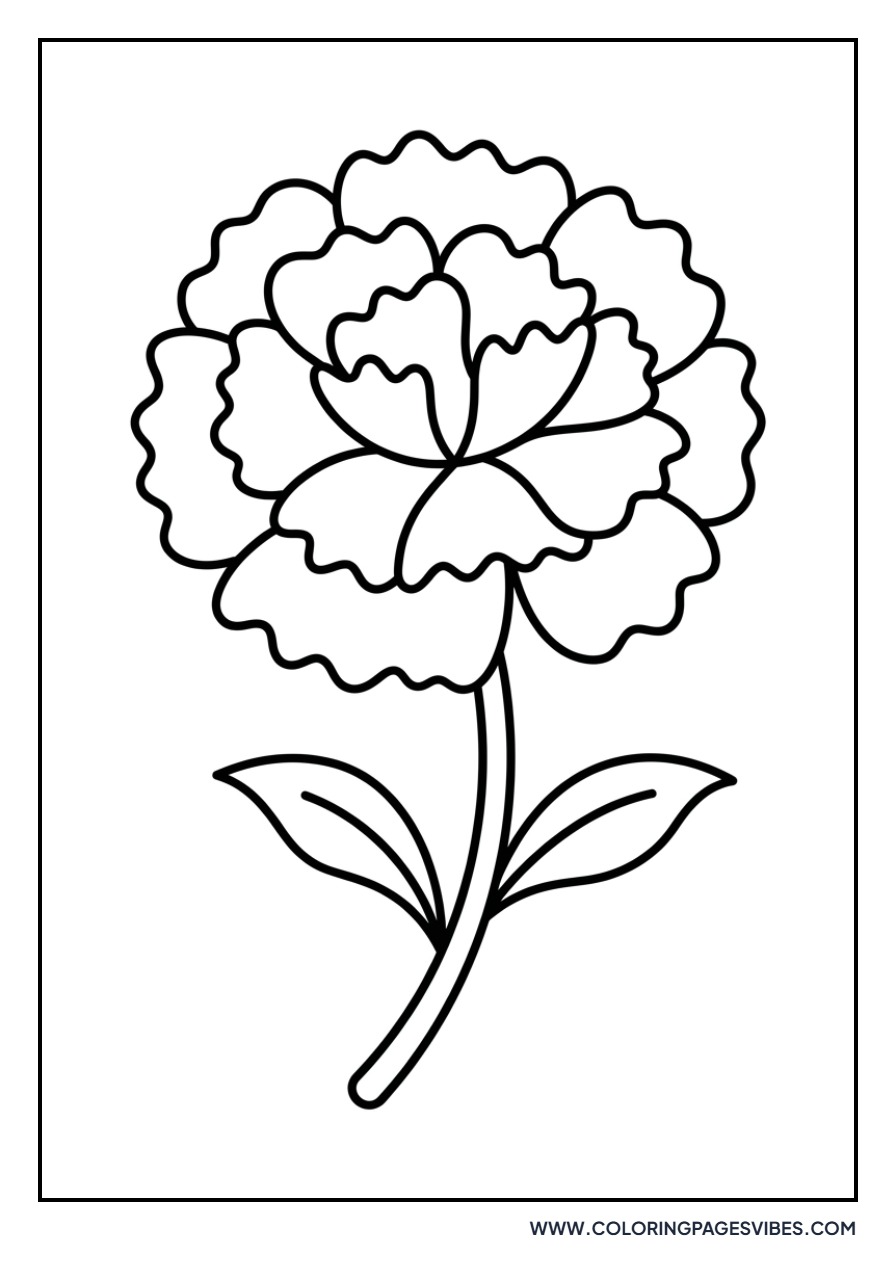 Carnation Swirls
