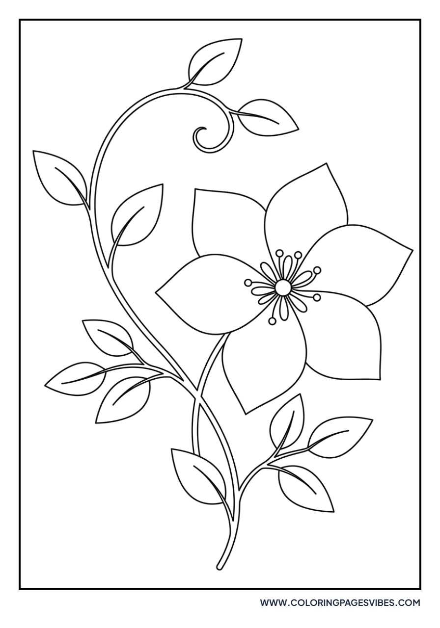 Clematis Vine