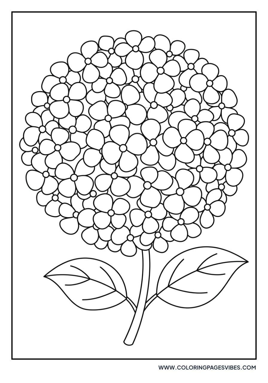 Cute Hydrangea Ball