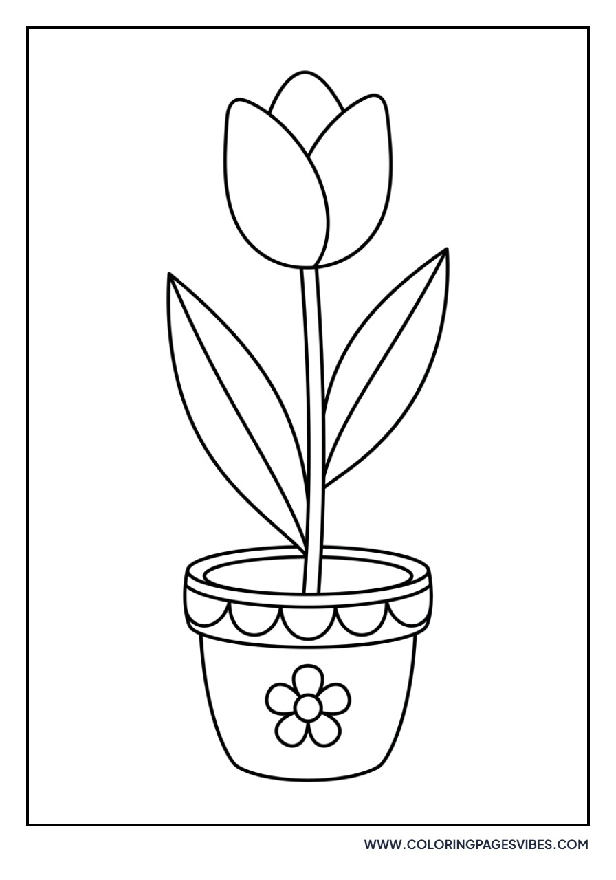 Cute Tulip in a Pot
