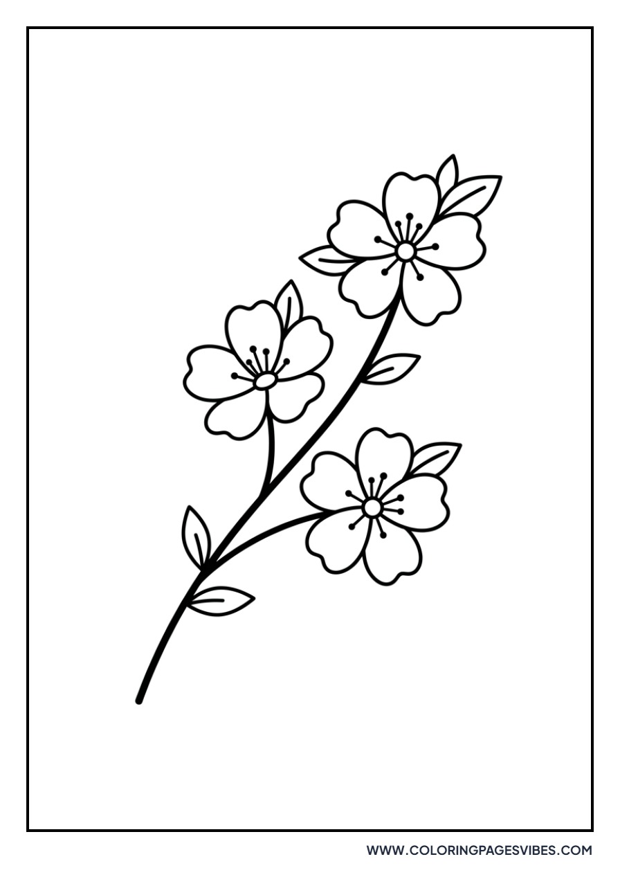 Dainty Cherry Blossoms