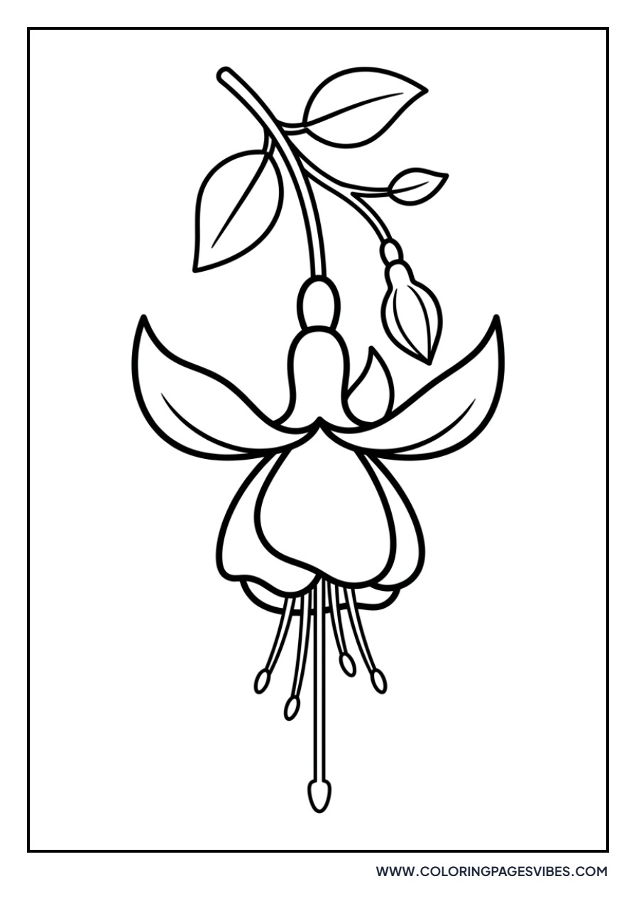 Fuchsia Bell