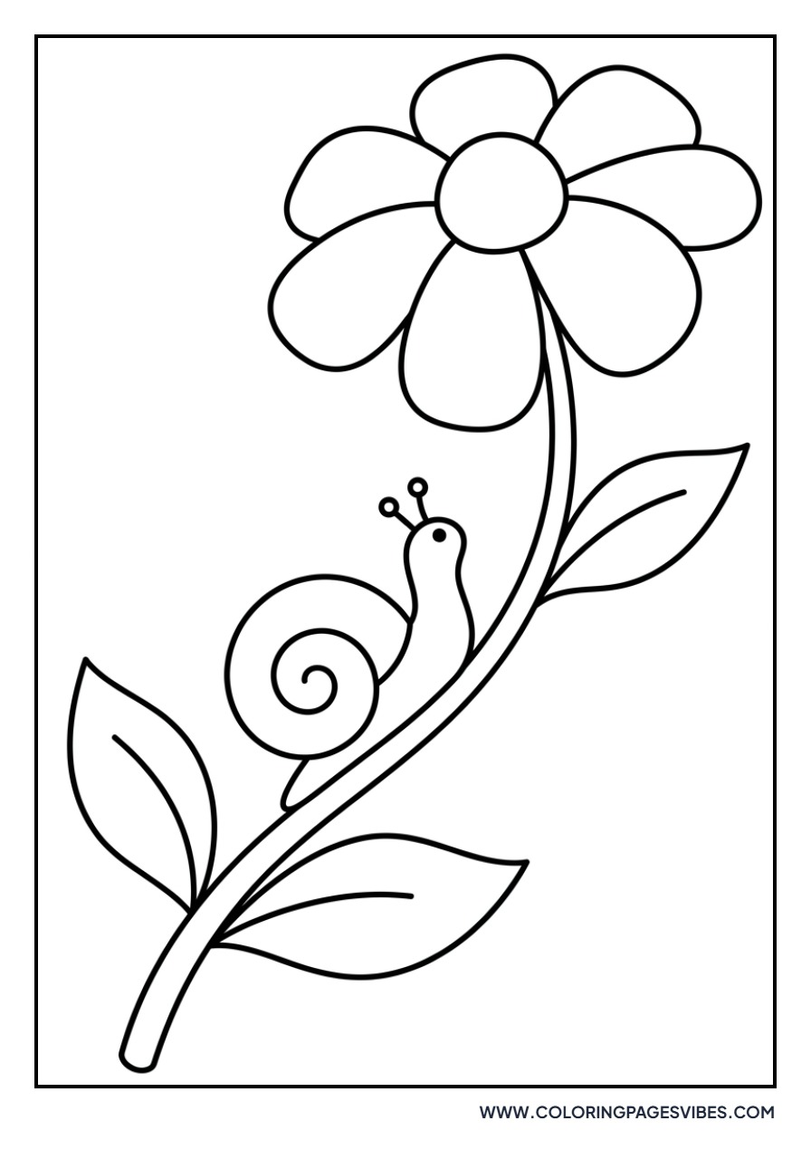 Garden Snail on Flower