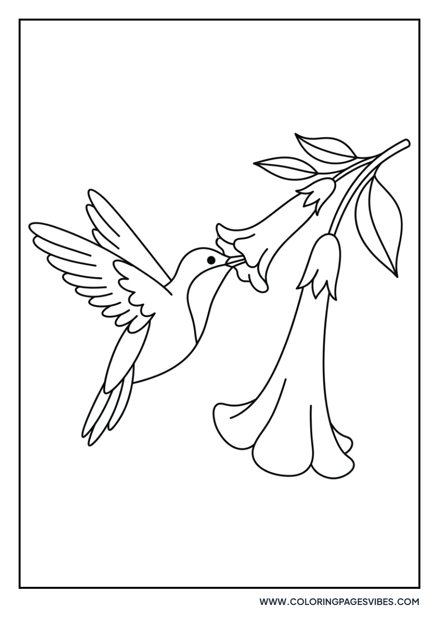 Hummingbird and Flower