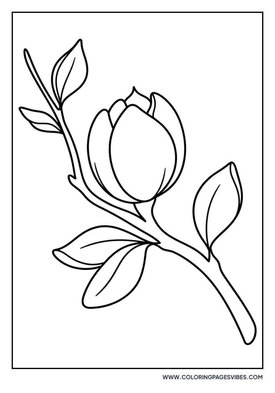 Magnolia Bud