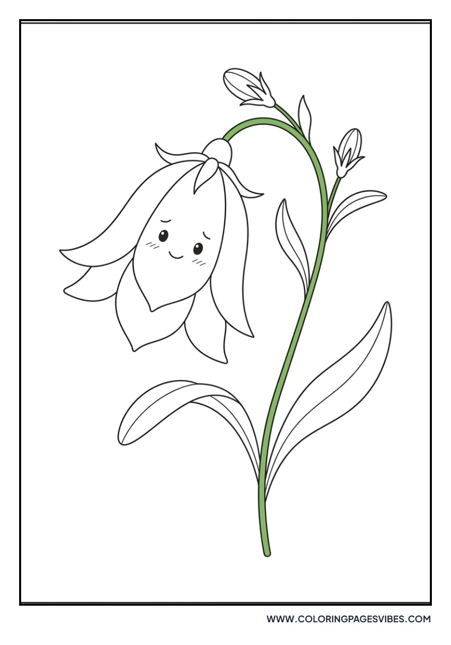 Shy Bluebell