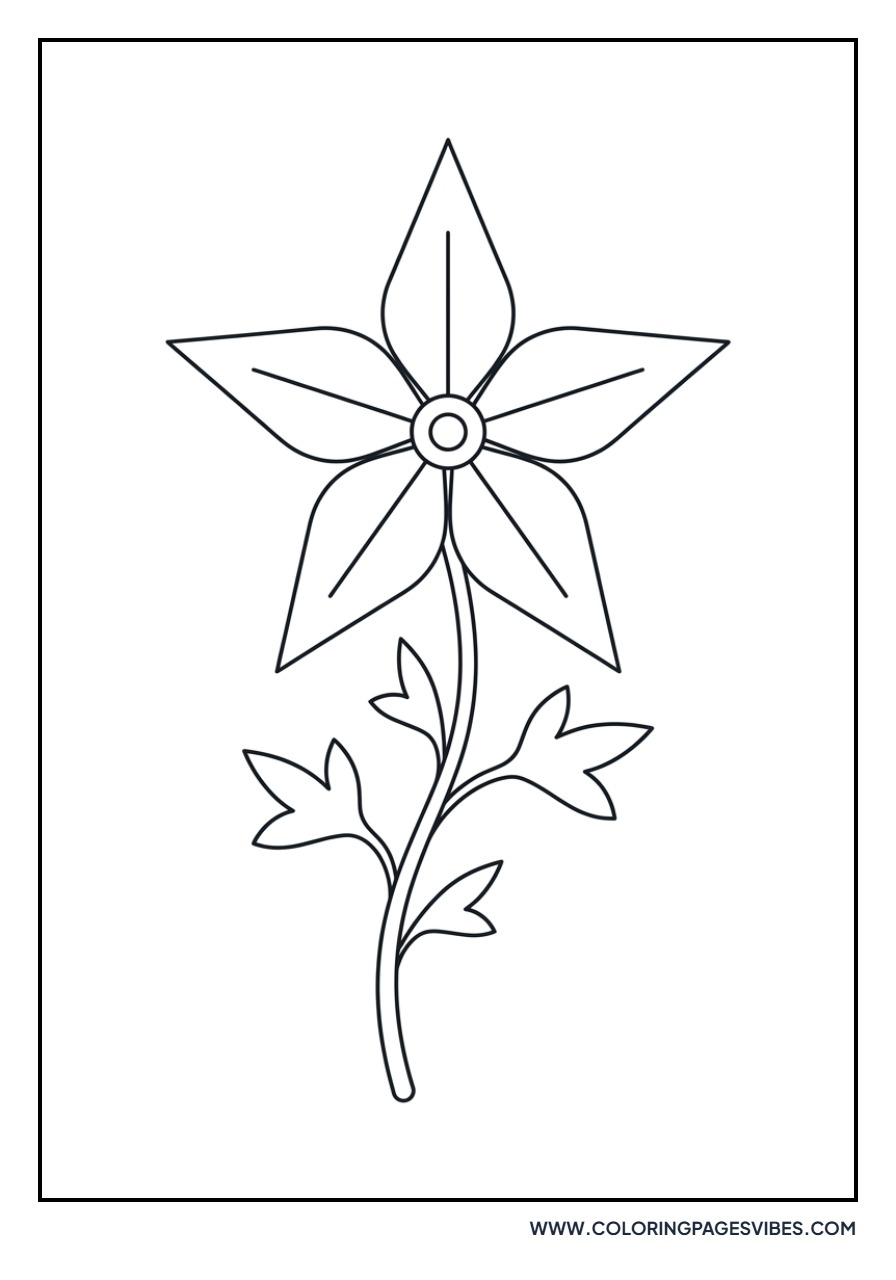 Star-shaped Flower