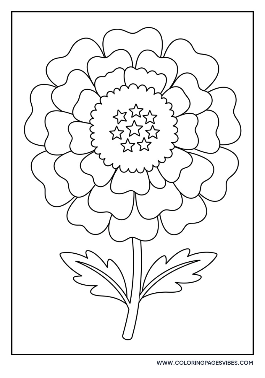 Starry Marigold