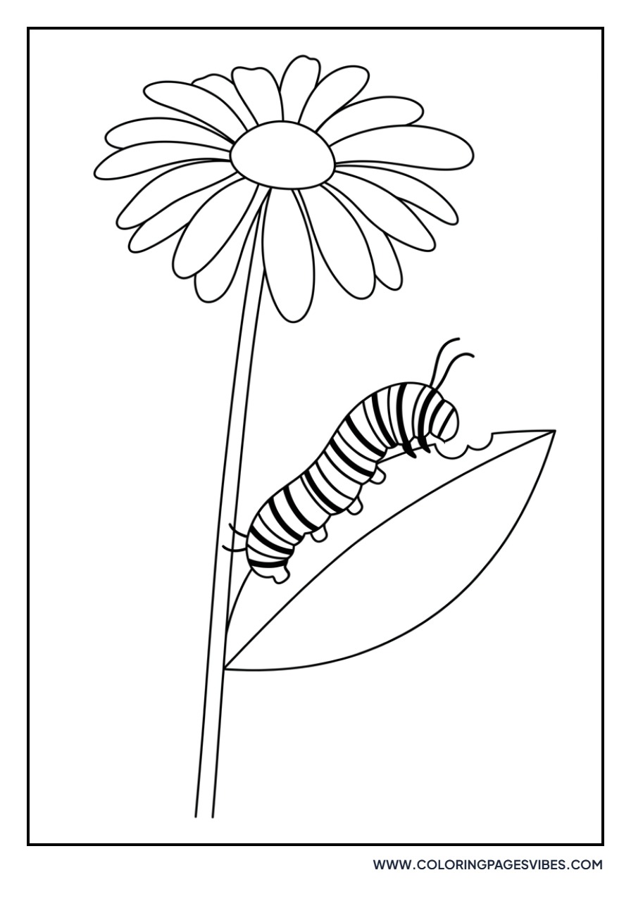 Daisy and Caterpillar