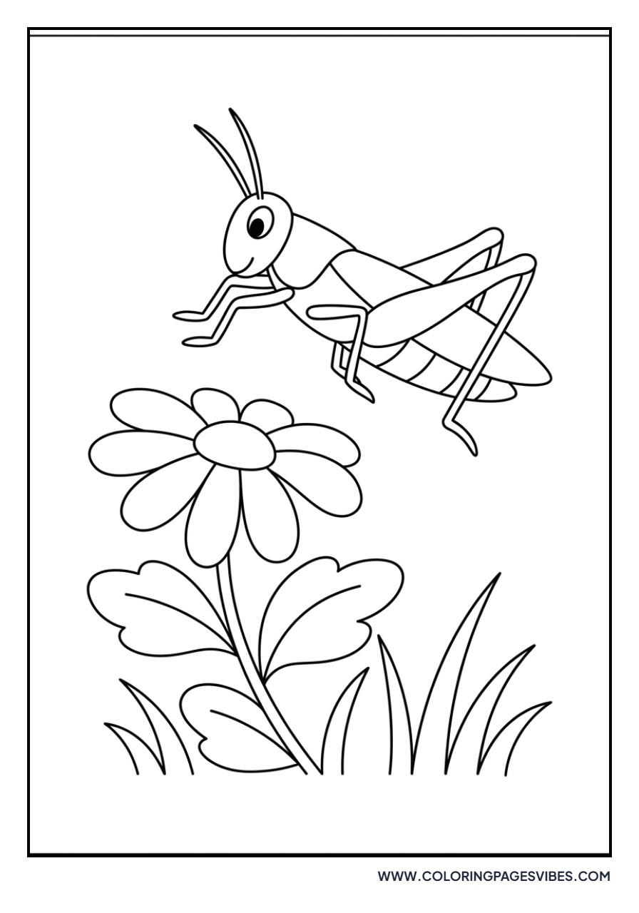 Daisy and Grasshopper