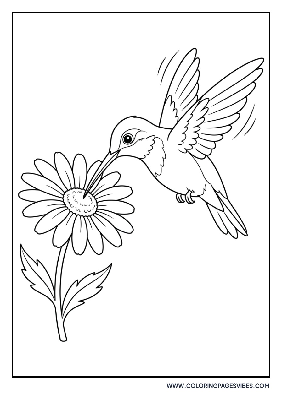 Daisy and Hummingbird