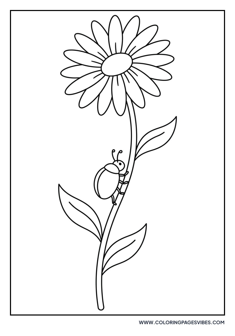Daisy and Ladybug