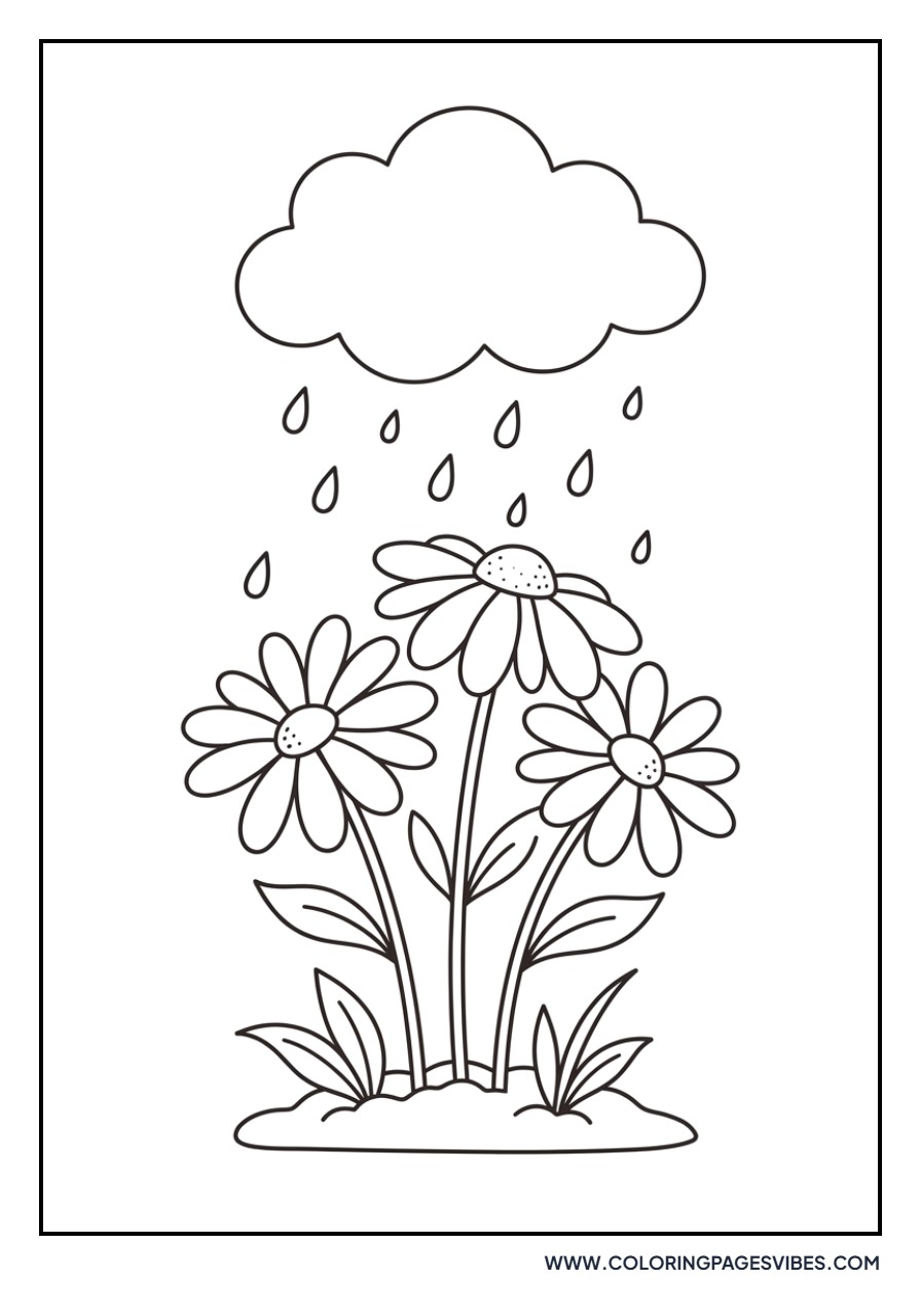 Daisy in the Rain