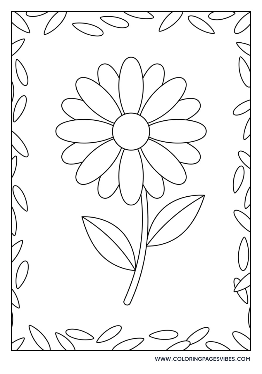 Daisy Petal Border