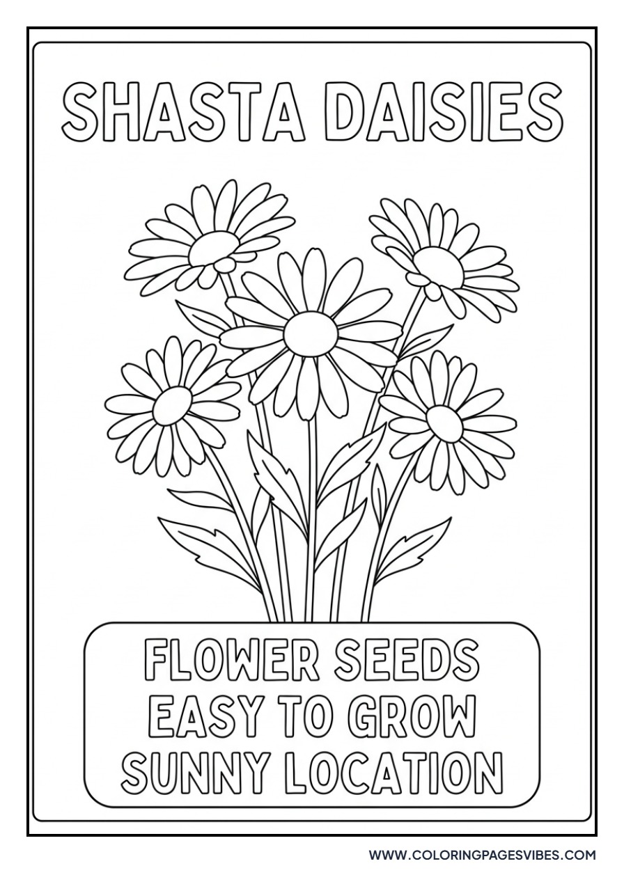 Daisy Seed Packet