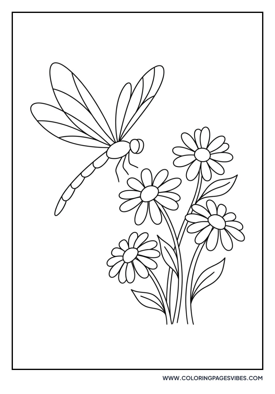 Daisy with Dragonfly