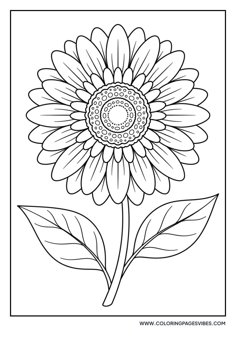 Gerber Daisy Bloom