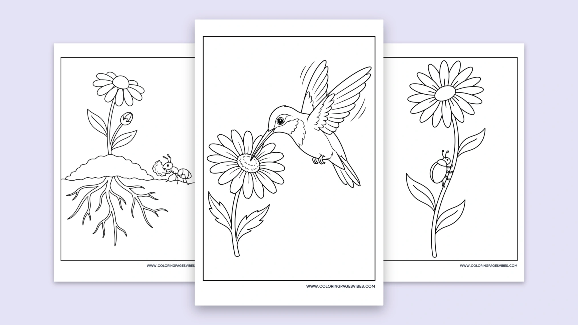 54+ Free Printable Daisy Coloring Pages (Free PDF)