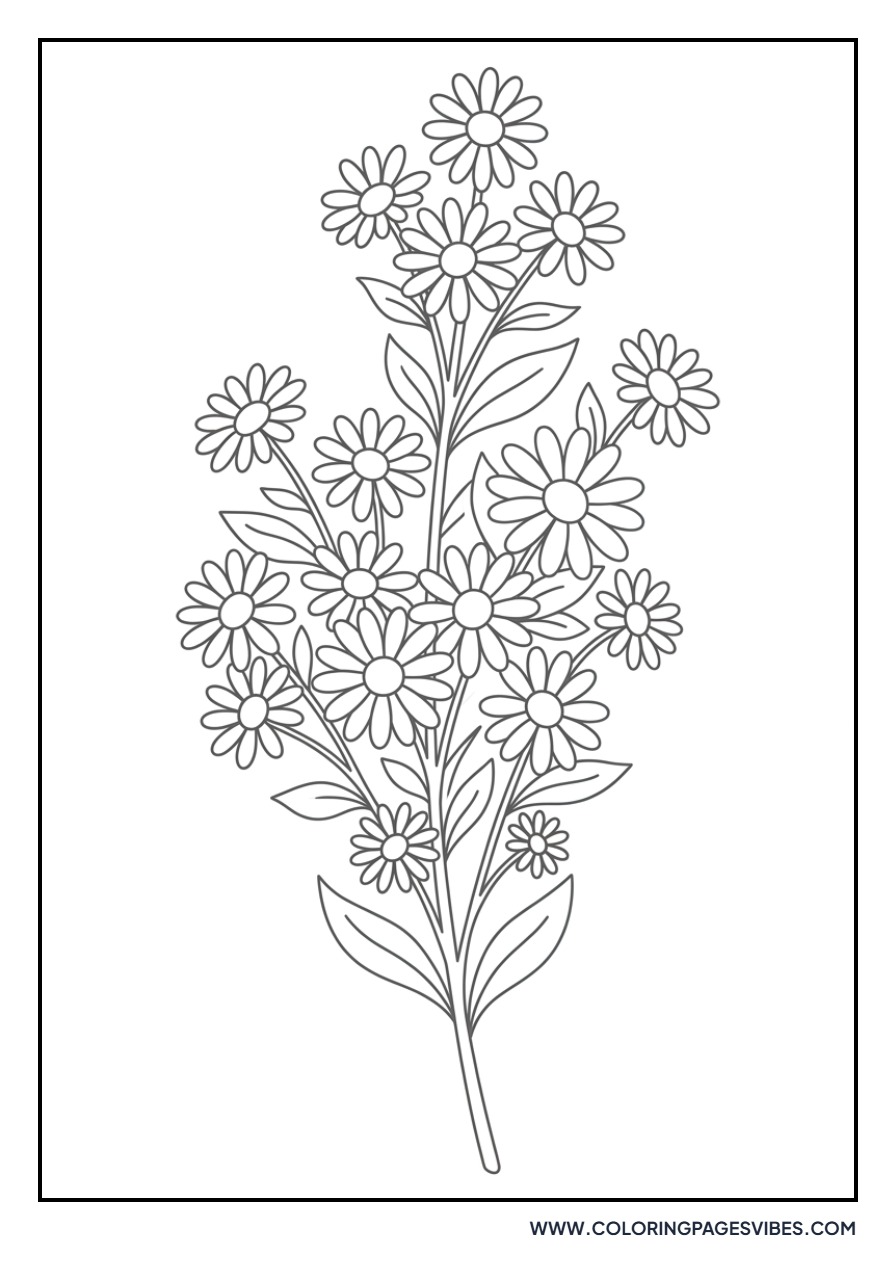 Miniature Daisy Cluster