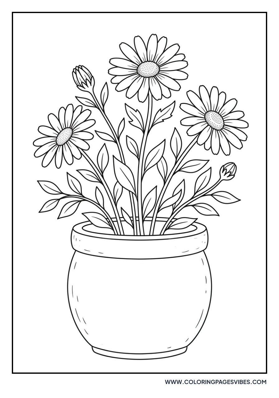 Potted Daisy Plant