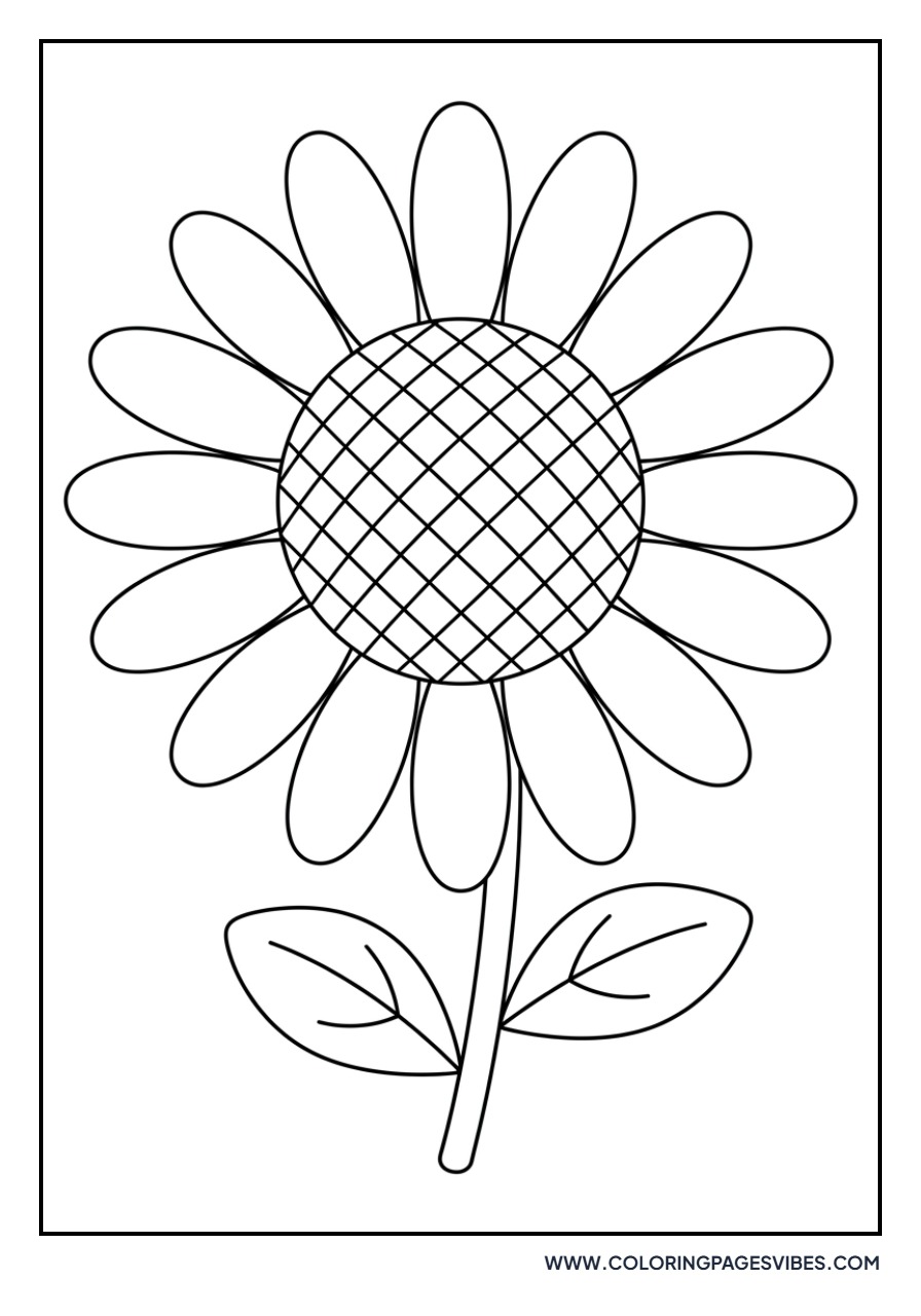 Single Classic Daisy