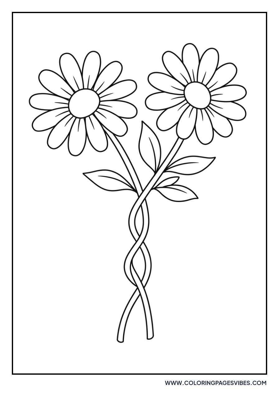 Two Intertwined Daisies